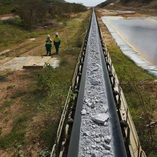 用邁世軌道巡檢機(jī)器人，海運(yùn)碼頭長距離送料巡檢實現(xiàn)無人化