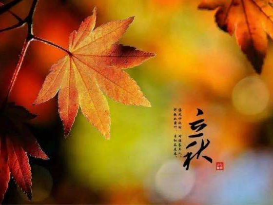 秋來了，莫慌！智慧主機依舊值得推薦的